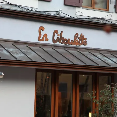 Apartment Homebuddy' - Le Chamonix